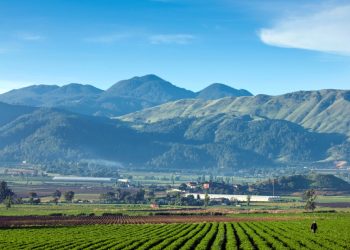 ¡Escapada al frescor! Verano en el productivo valle de Constanza