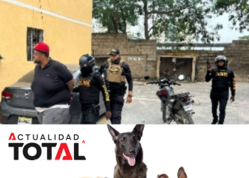 Cayó «El Gordo»: Apresan a presunto envenenador de perros y gatos en La Romana